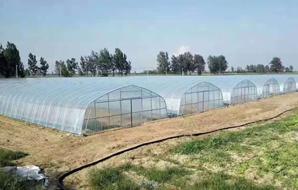 豪运国际·welcome(官网)首页登录入口