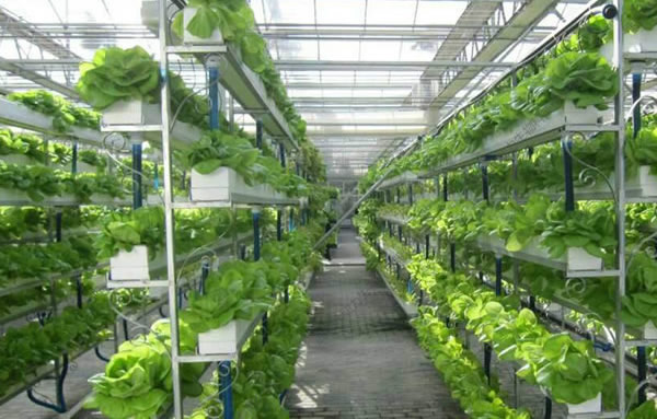 豪运国际·welcome(官网)首页登录入口